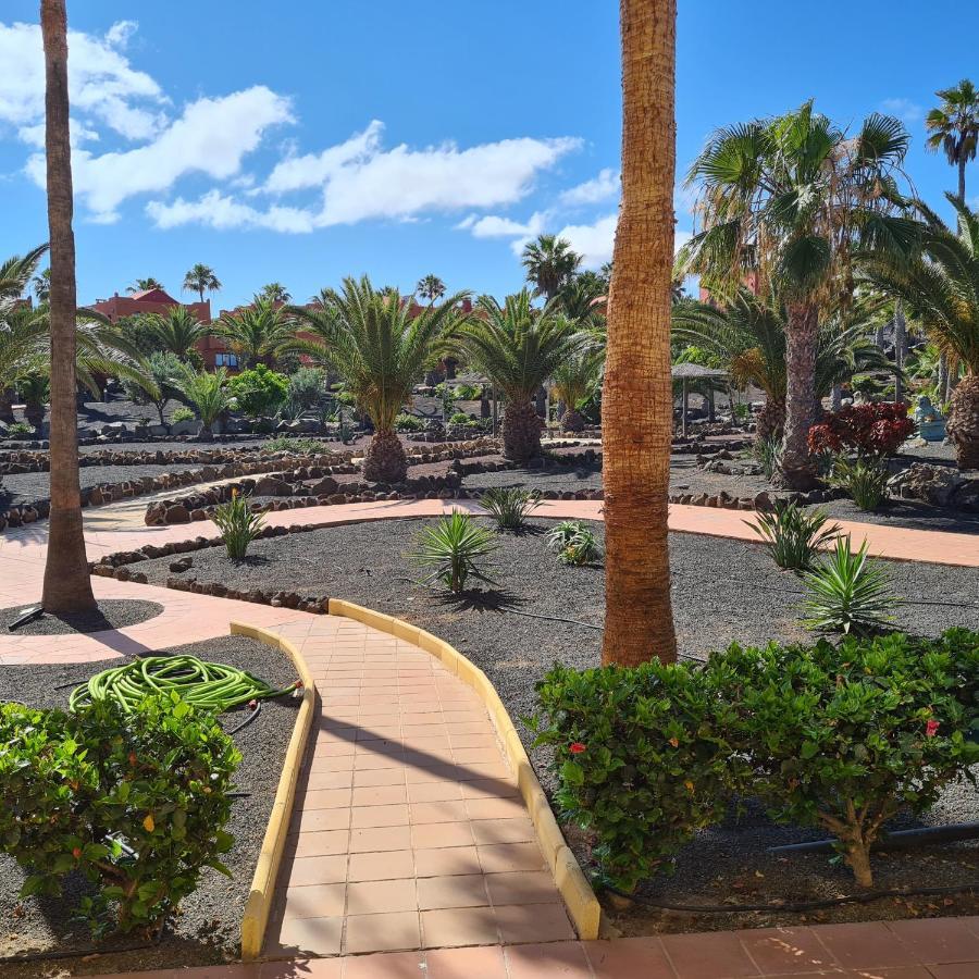 Oasis Royal F217 Apartment Corralejo Bagian luar foto