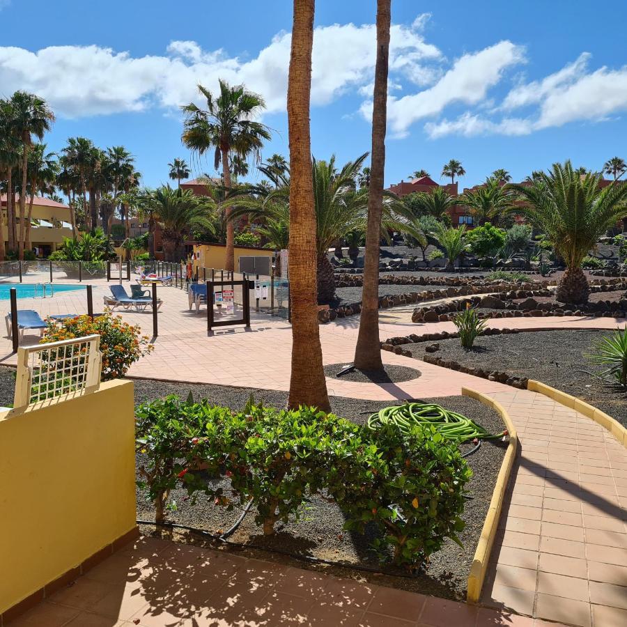 Oasis Royal F217 Apartment Corralejo Bagian luar foto
